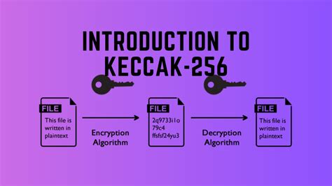 Ethereum: Why does hashing public keys not actually provide any quantum resistance?
